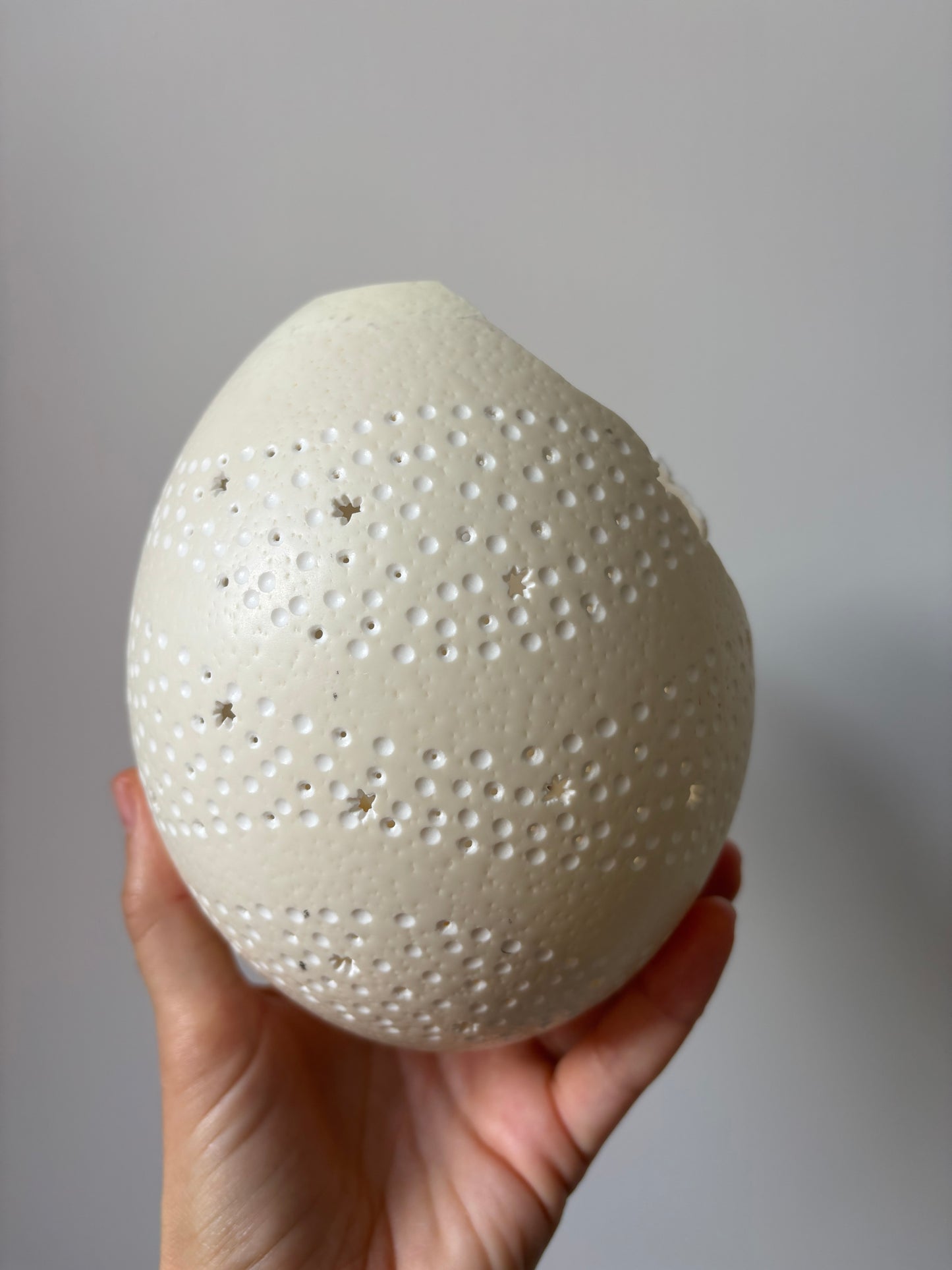 Carved custom ostrich egg for Melissa