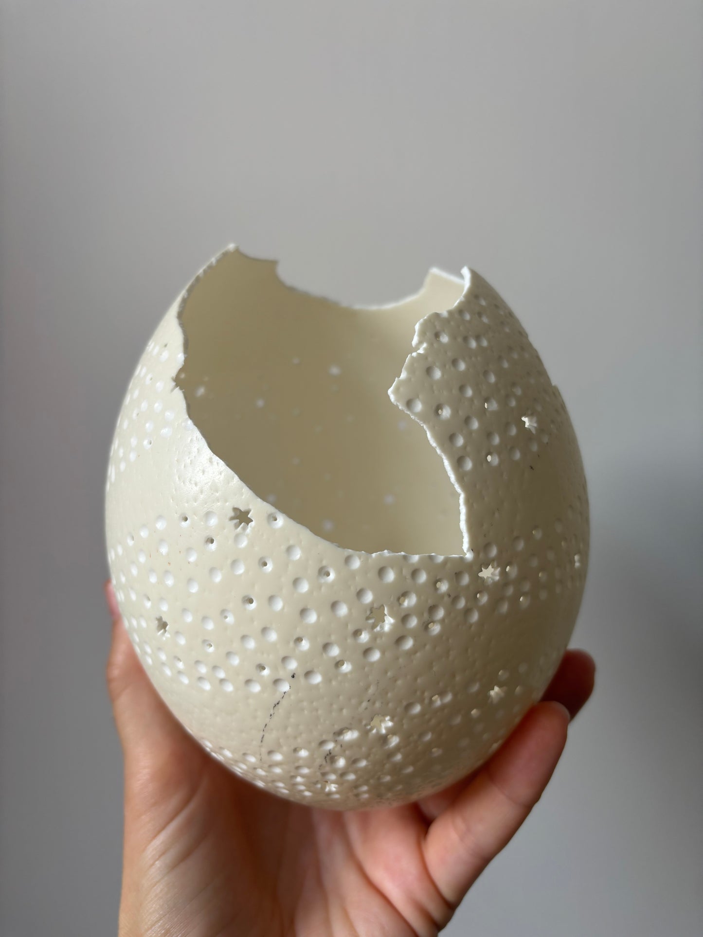 Carved custom ostrich egg for Melissa