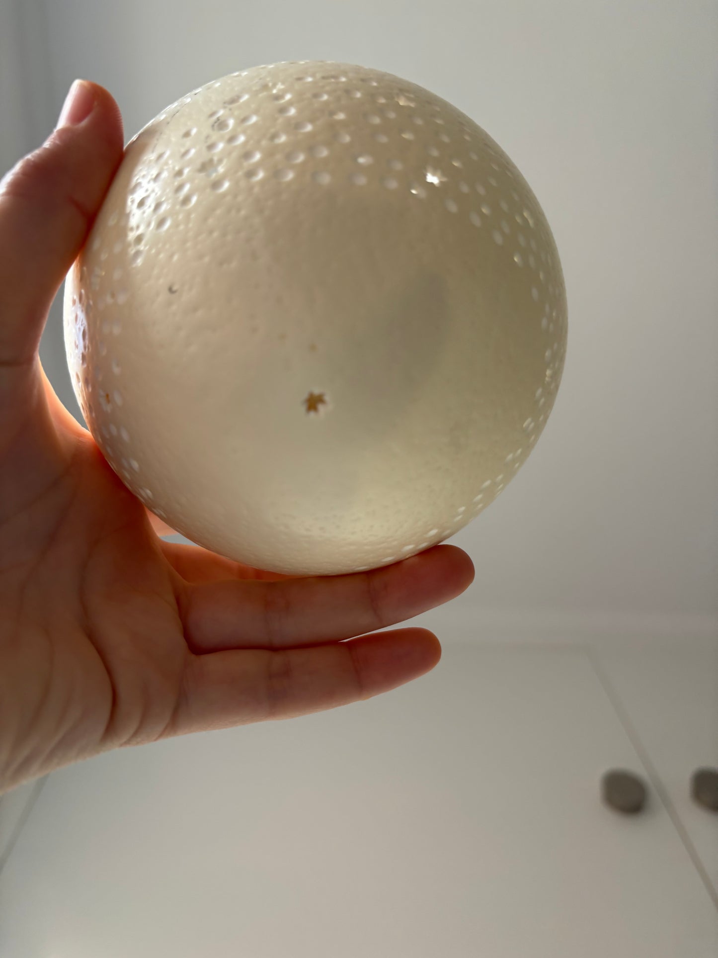 Carved custom ostrich egg for Melissa