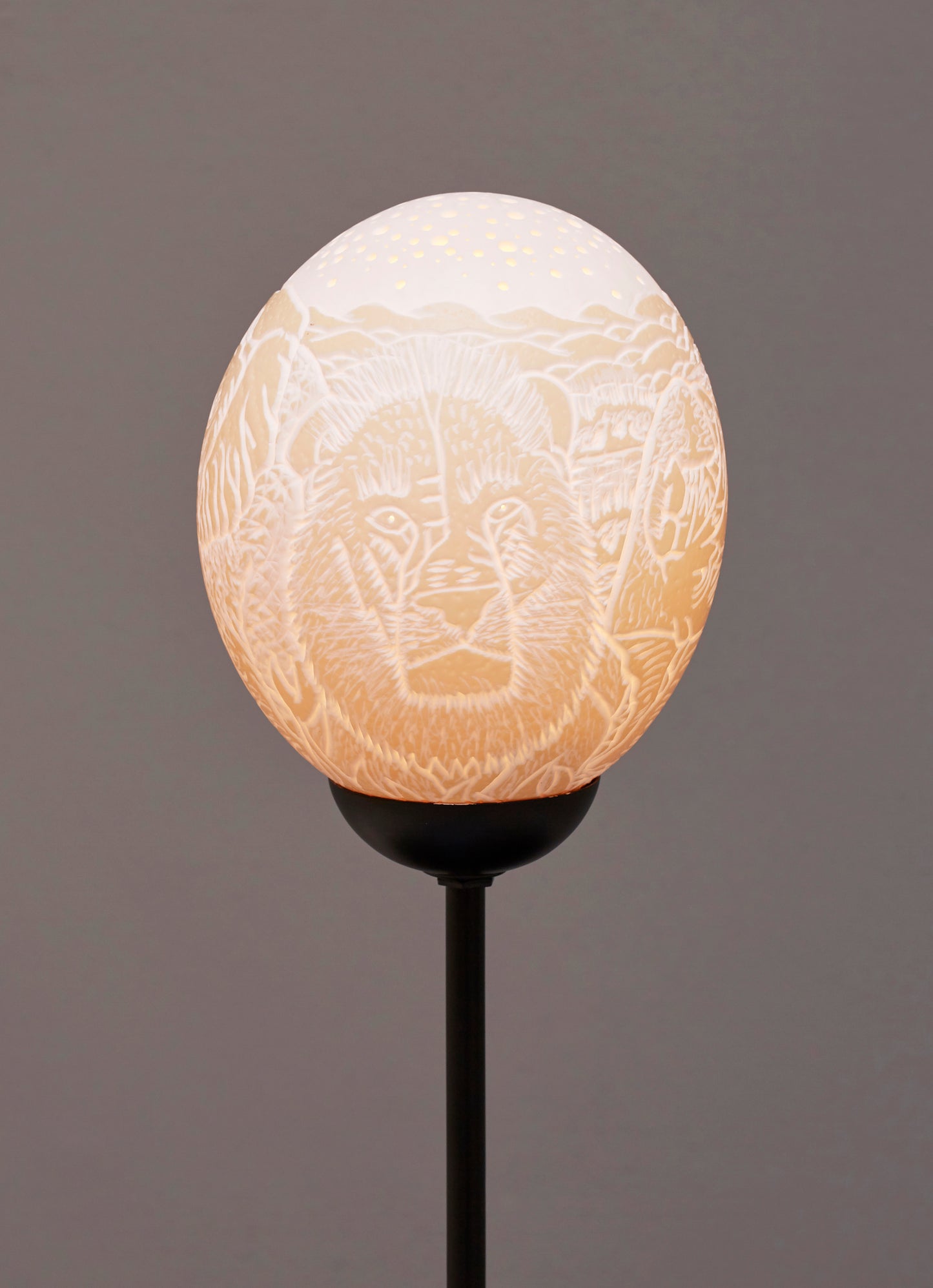 Big 5 Galaxy ostrich egg lamp