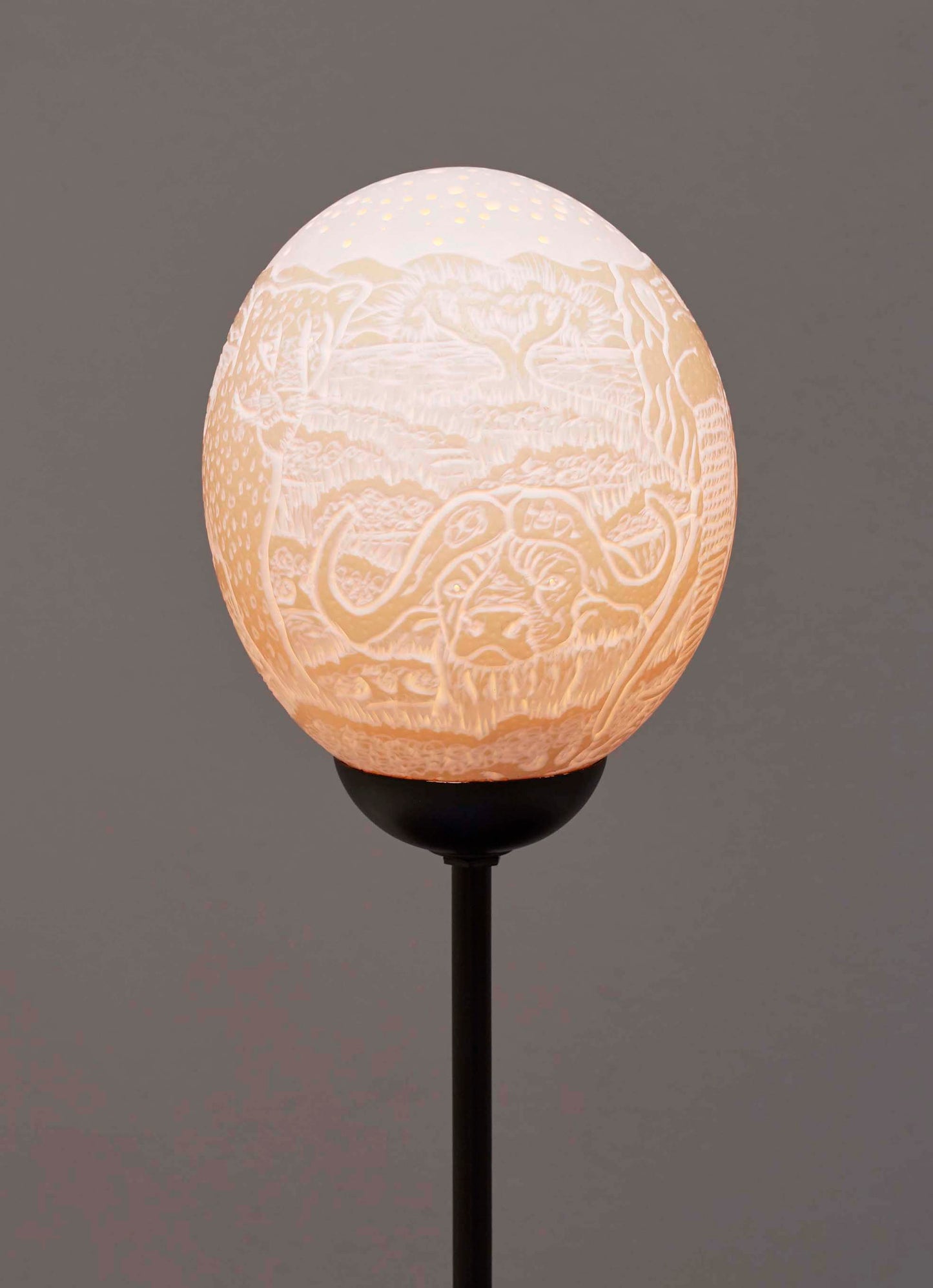 Big 5 Galaxy ostrich egg lamp