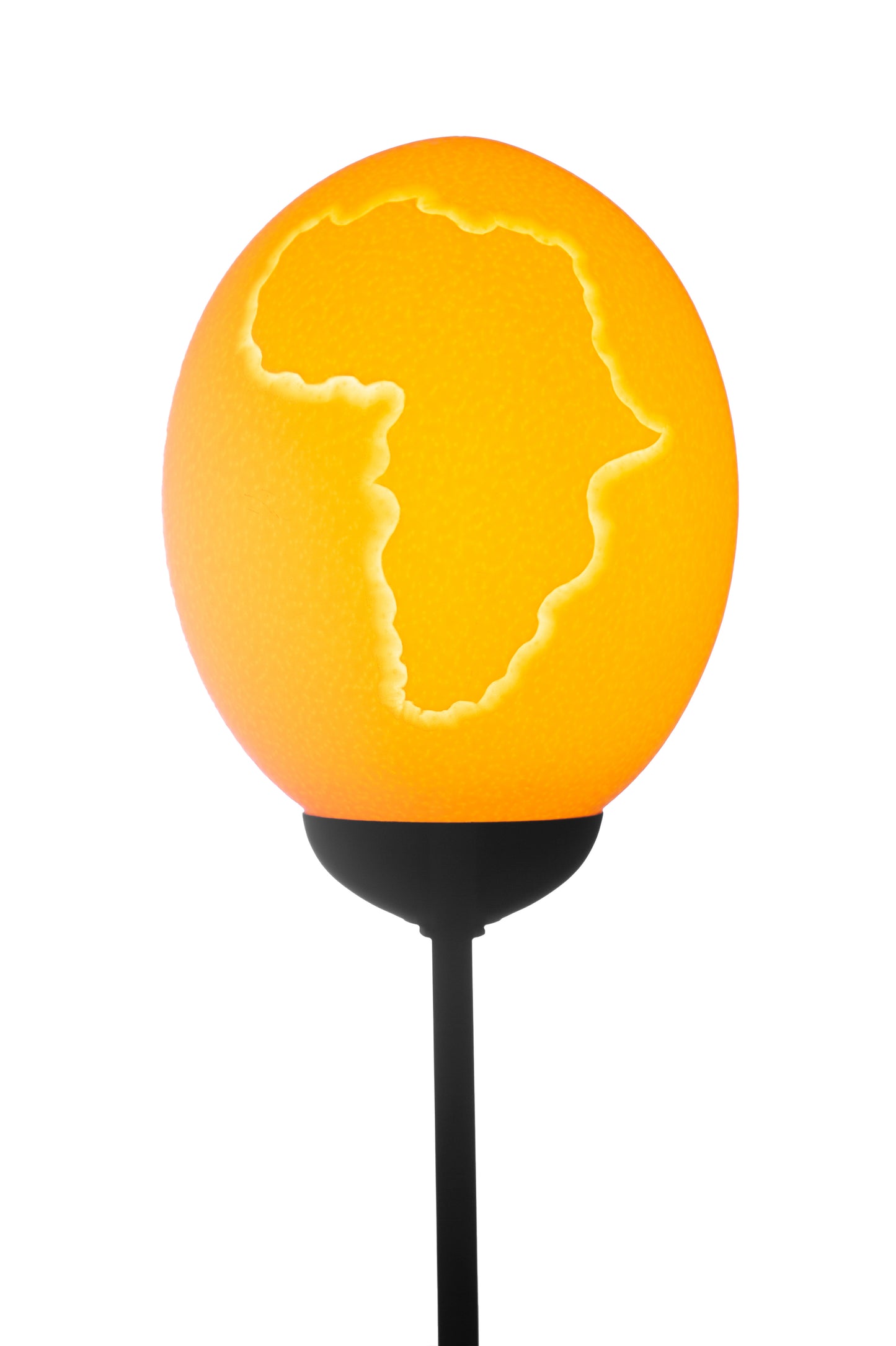 Elephant and Africa themed ostrich egg lamp
