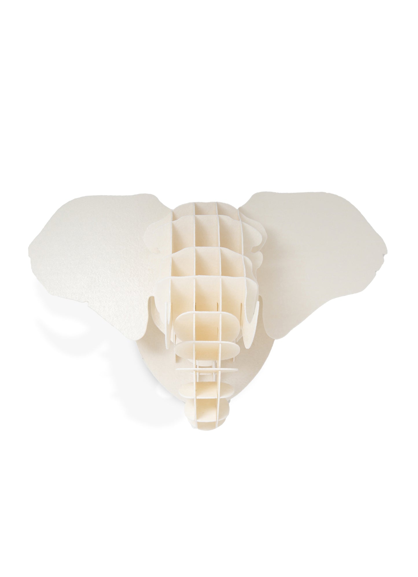 Small Elephant head in paperboard wall mount