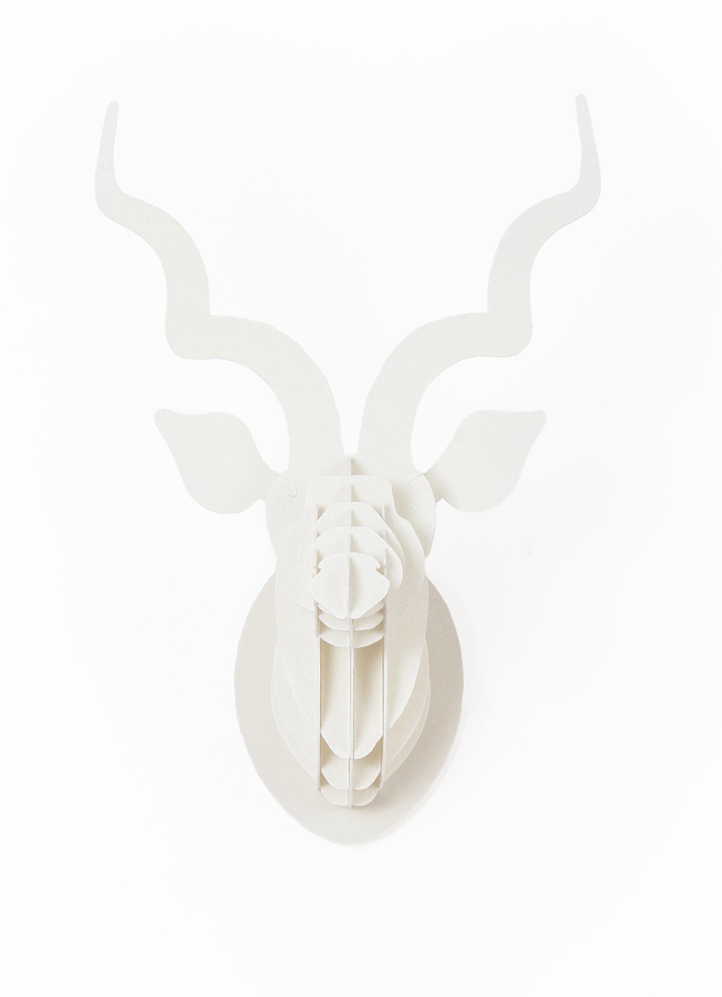 Small Kudu head in paperboard wall mount