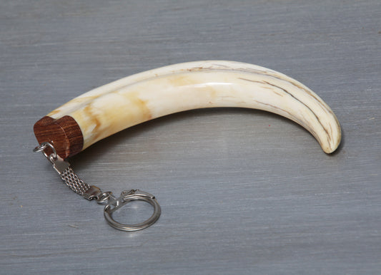 Warthog tusk keychain