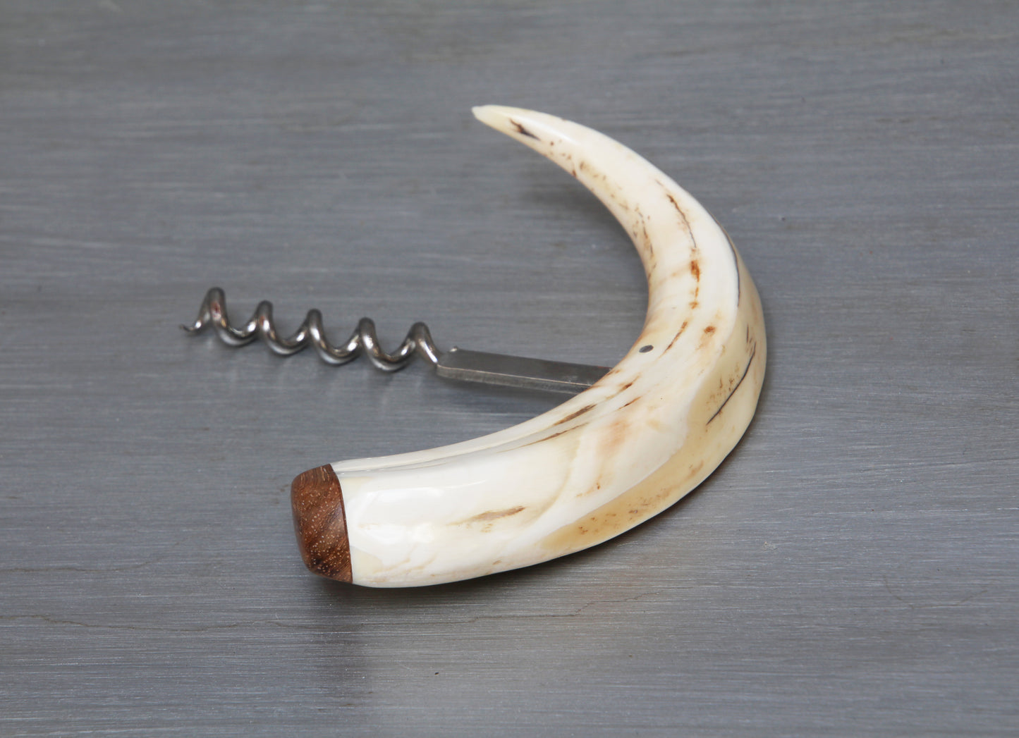 Warthog tusk corkscrew