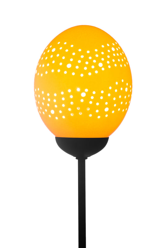 Milkyway Ostrich egg and World Map egg