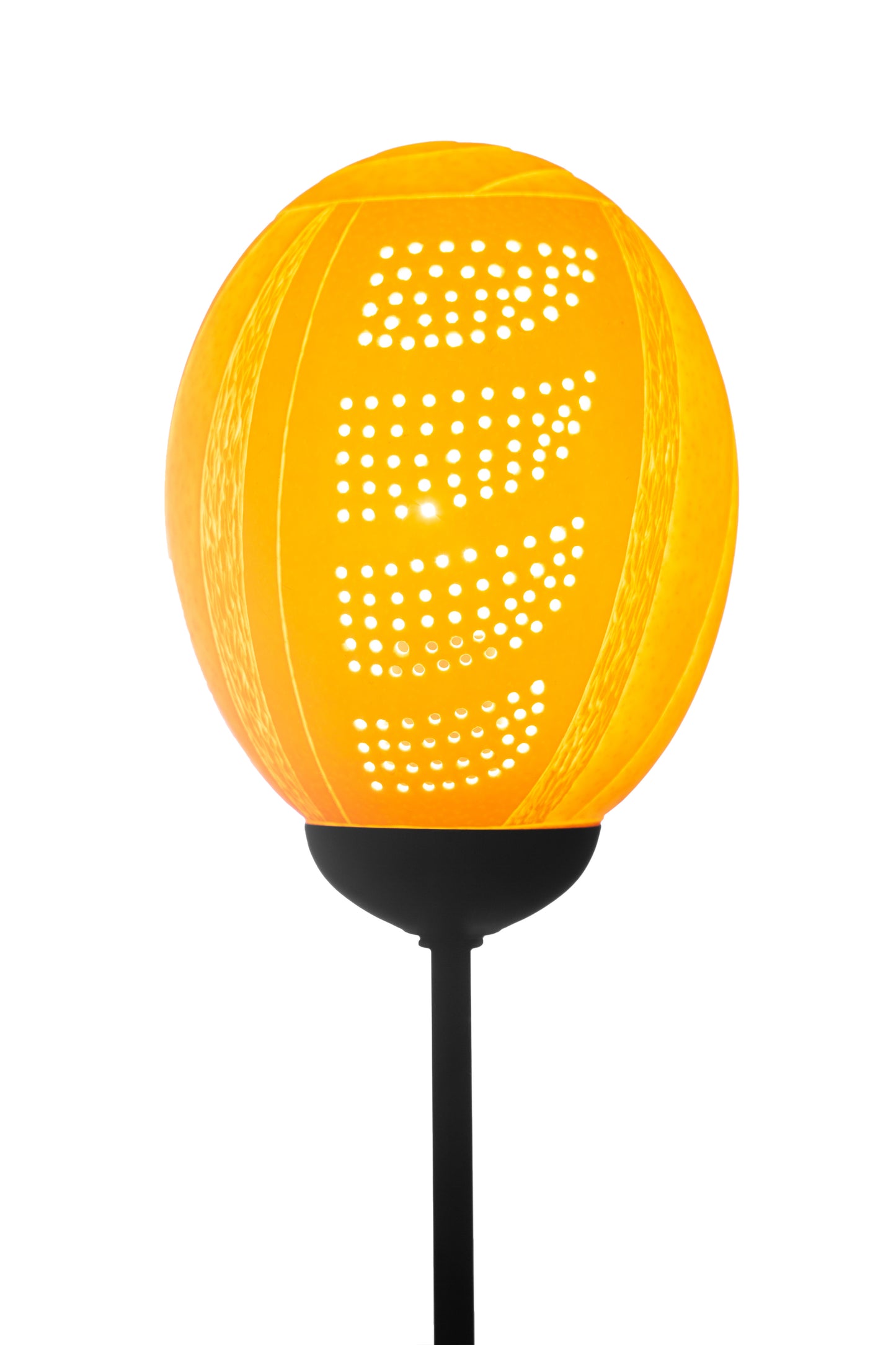 Seashell themed ostrich egg lamp