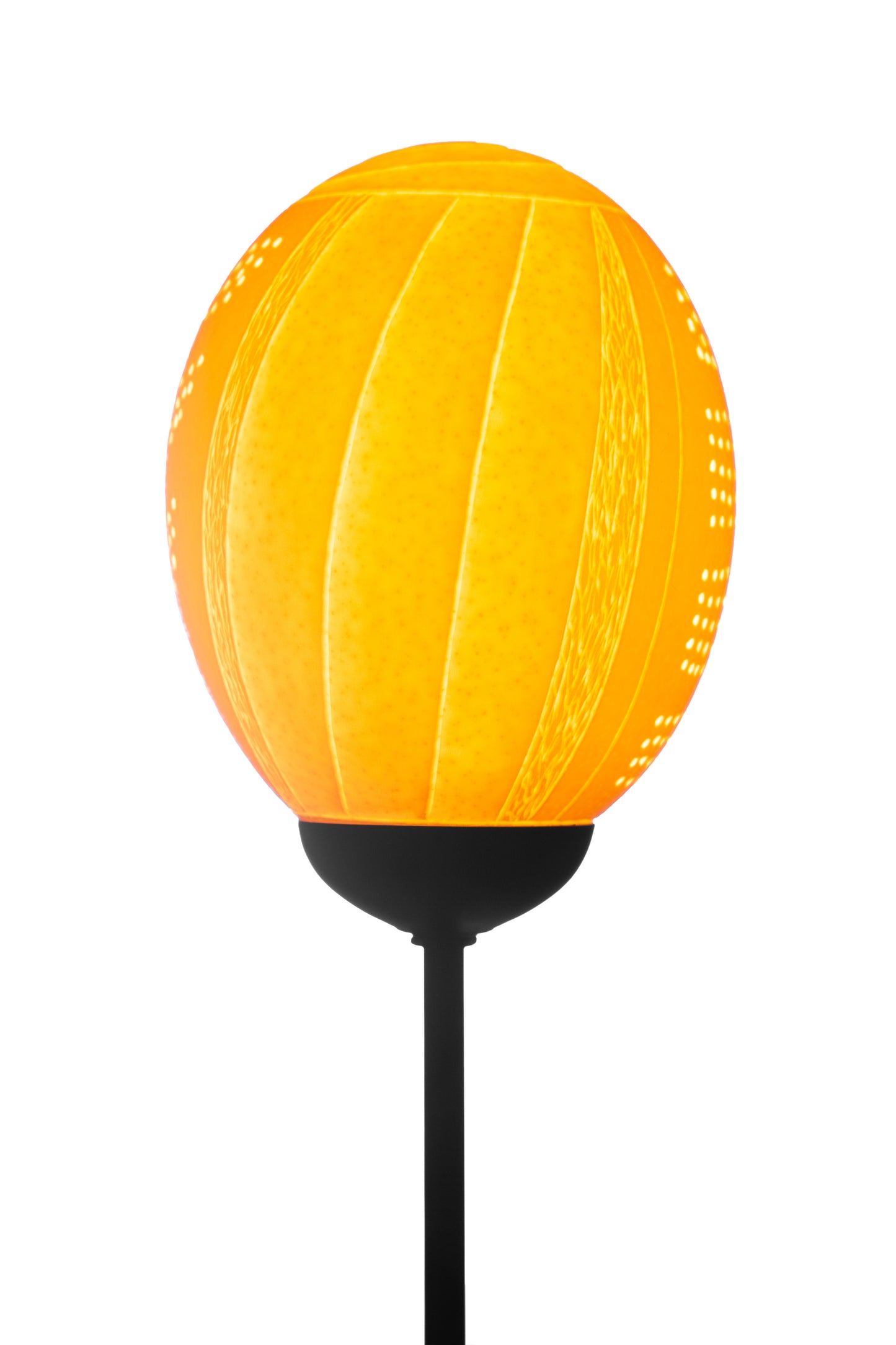 Seashell themed ostrich egg lamp