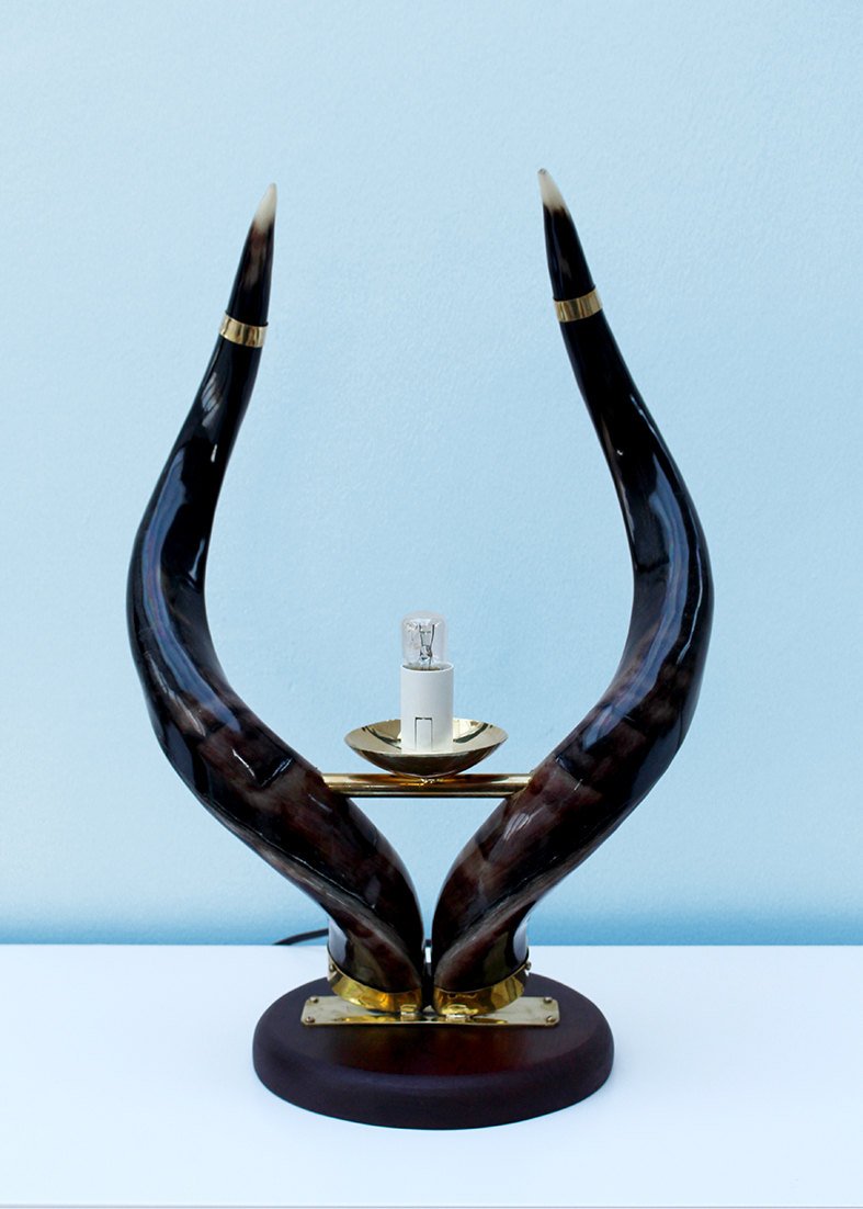 Authentic kudu horn ostrich egg lamp stand