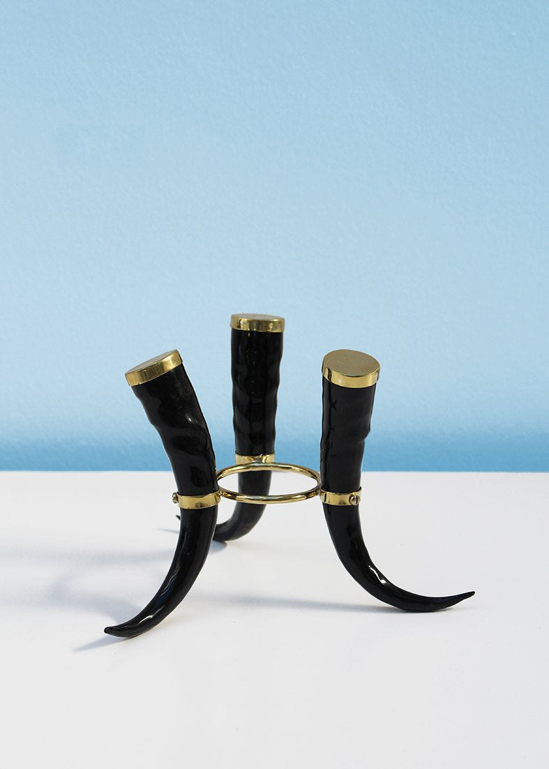 Classic springbok horn stand