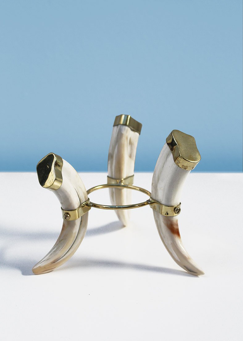 Warthog tusk tripod stand