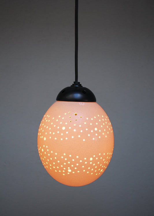 Milkway themed ostrich egg pendant light