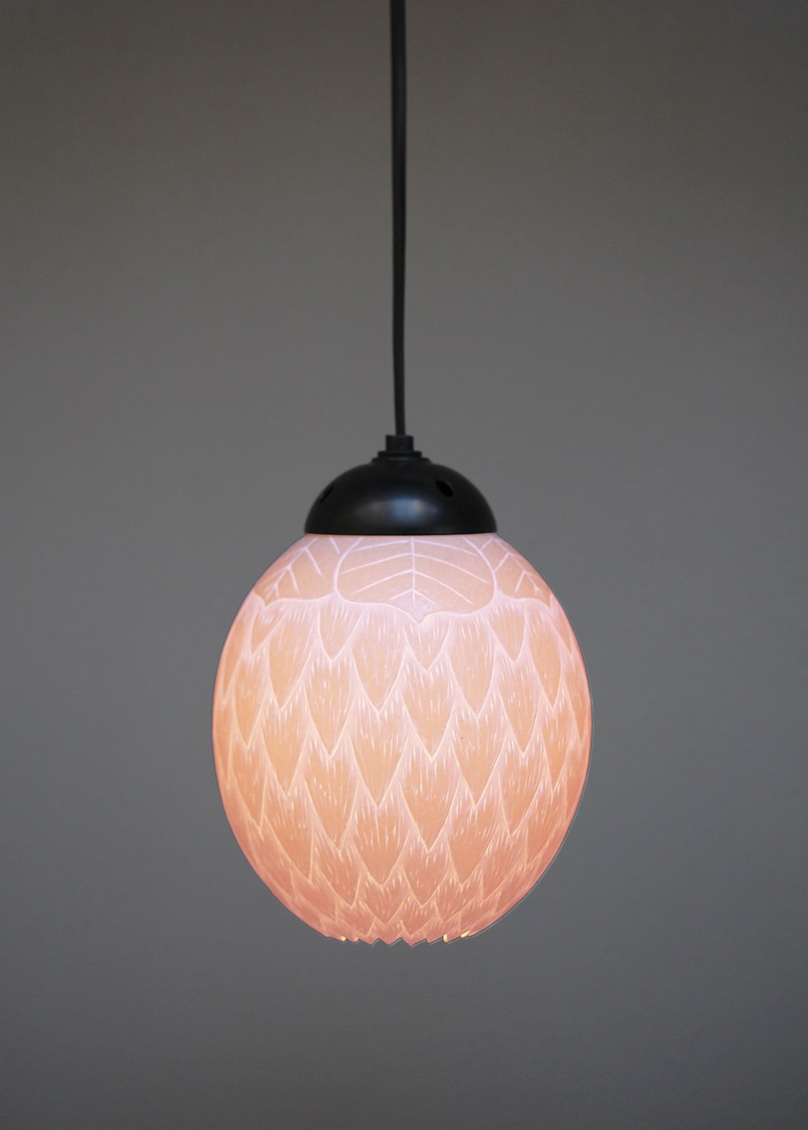 Protea themed ostrich egg pendant light