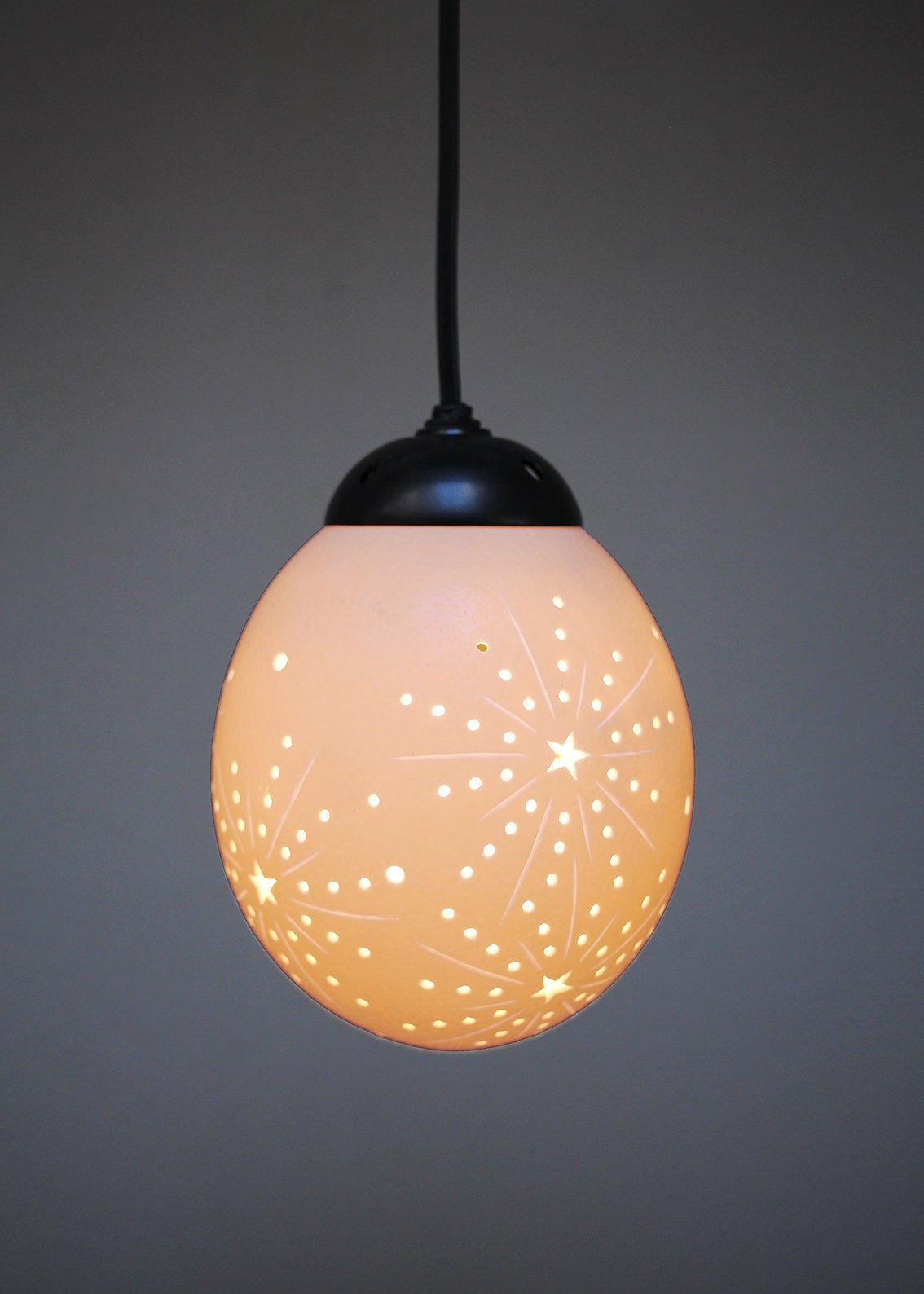 Starburst themed ostrich egg pendant light