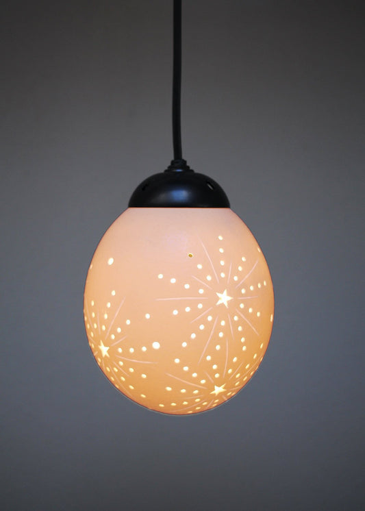 Starburst themed ostrich egg pendant light