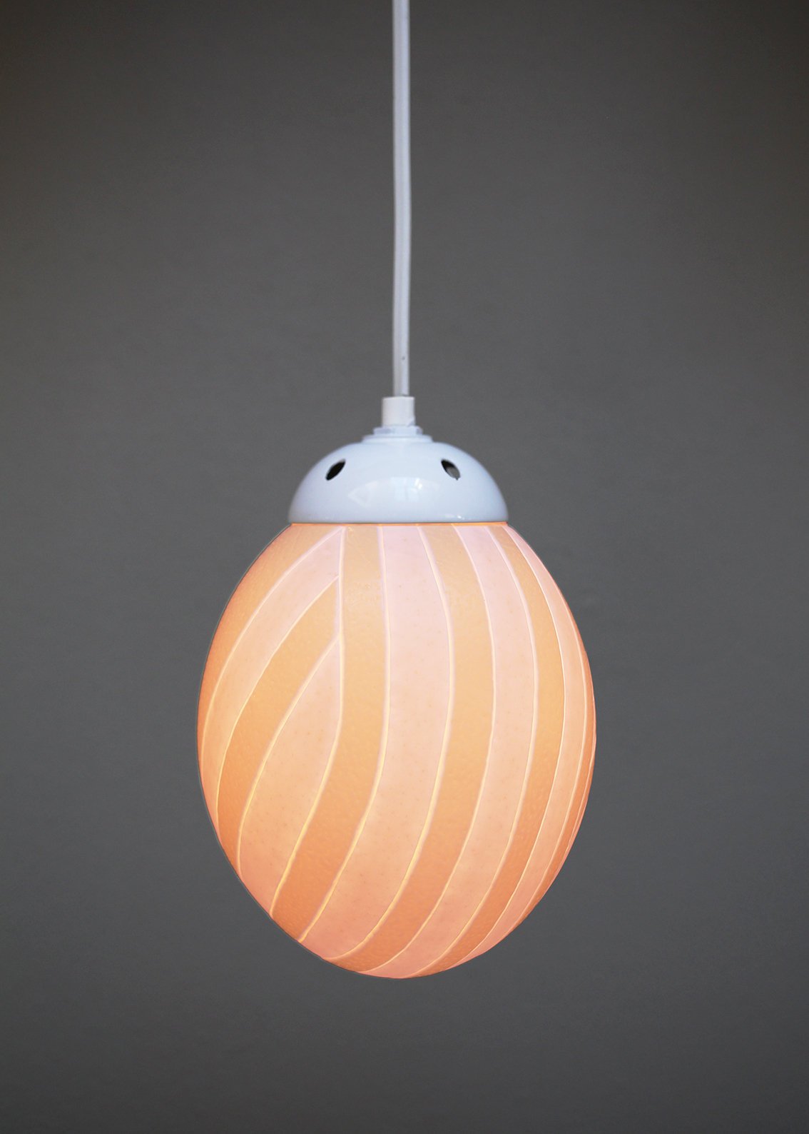 Teardrop themed ostrich egg pendant light