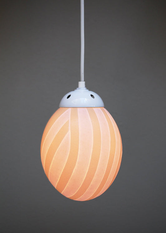 Teardrop themed ostrich egg pendant light