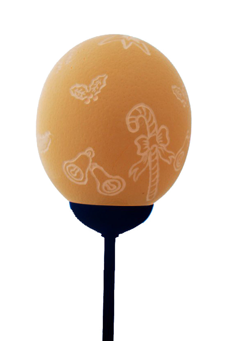 Merry Christmas themed ostrich egg lamp