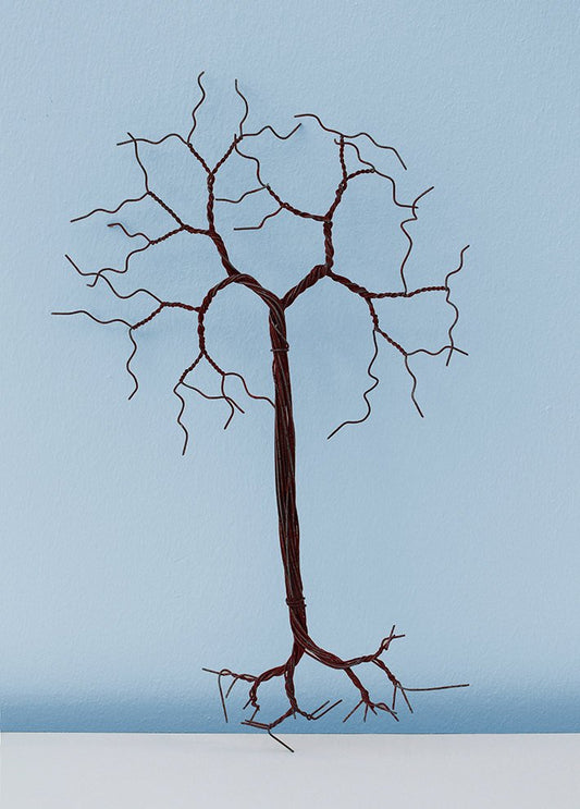 Baobab wire wall piece