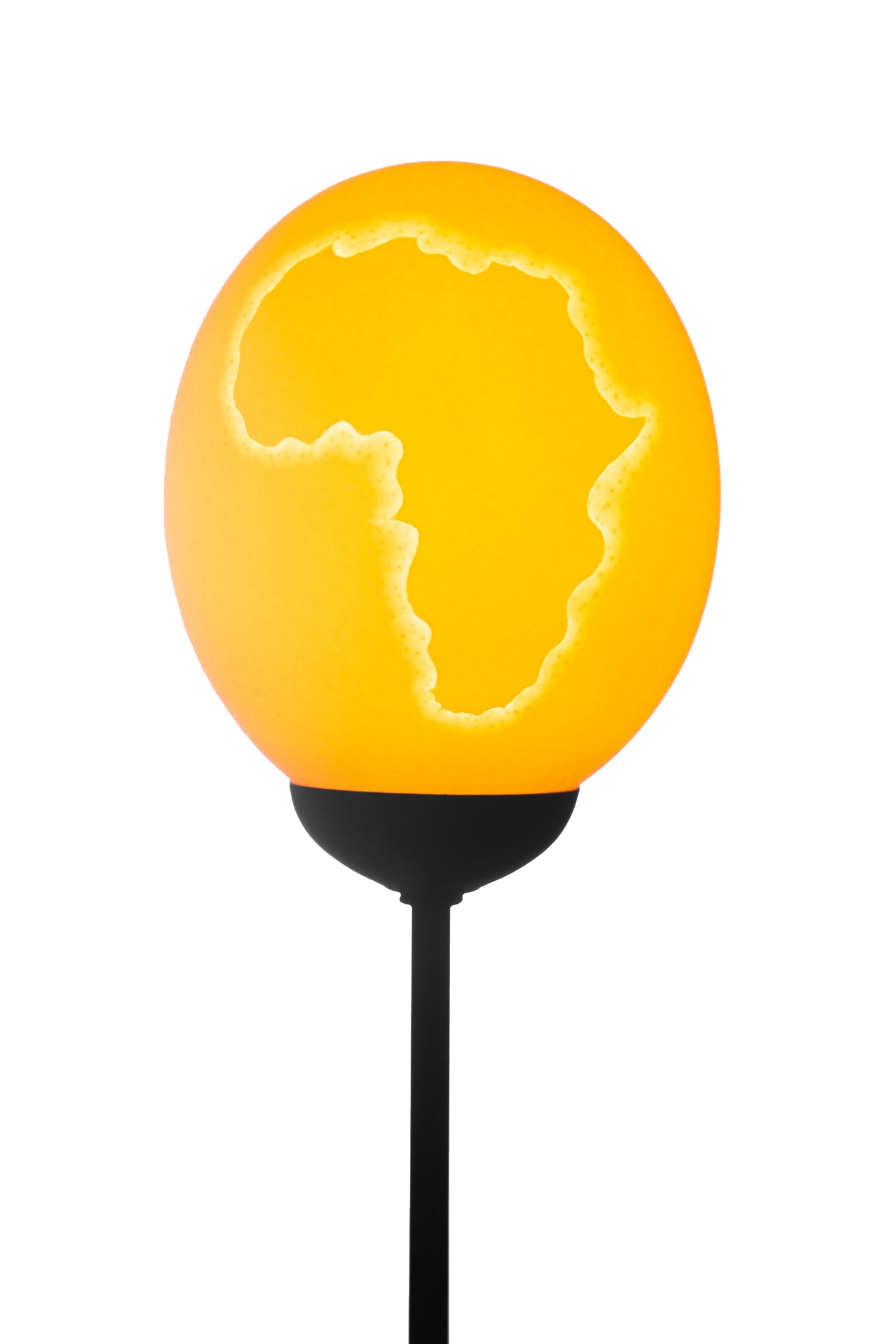 African Hippo themed ostrich egg lamp