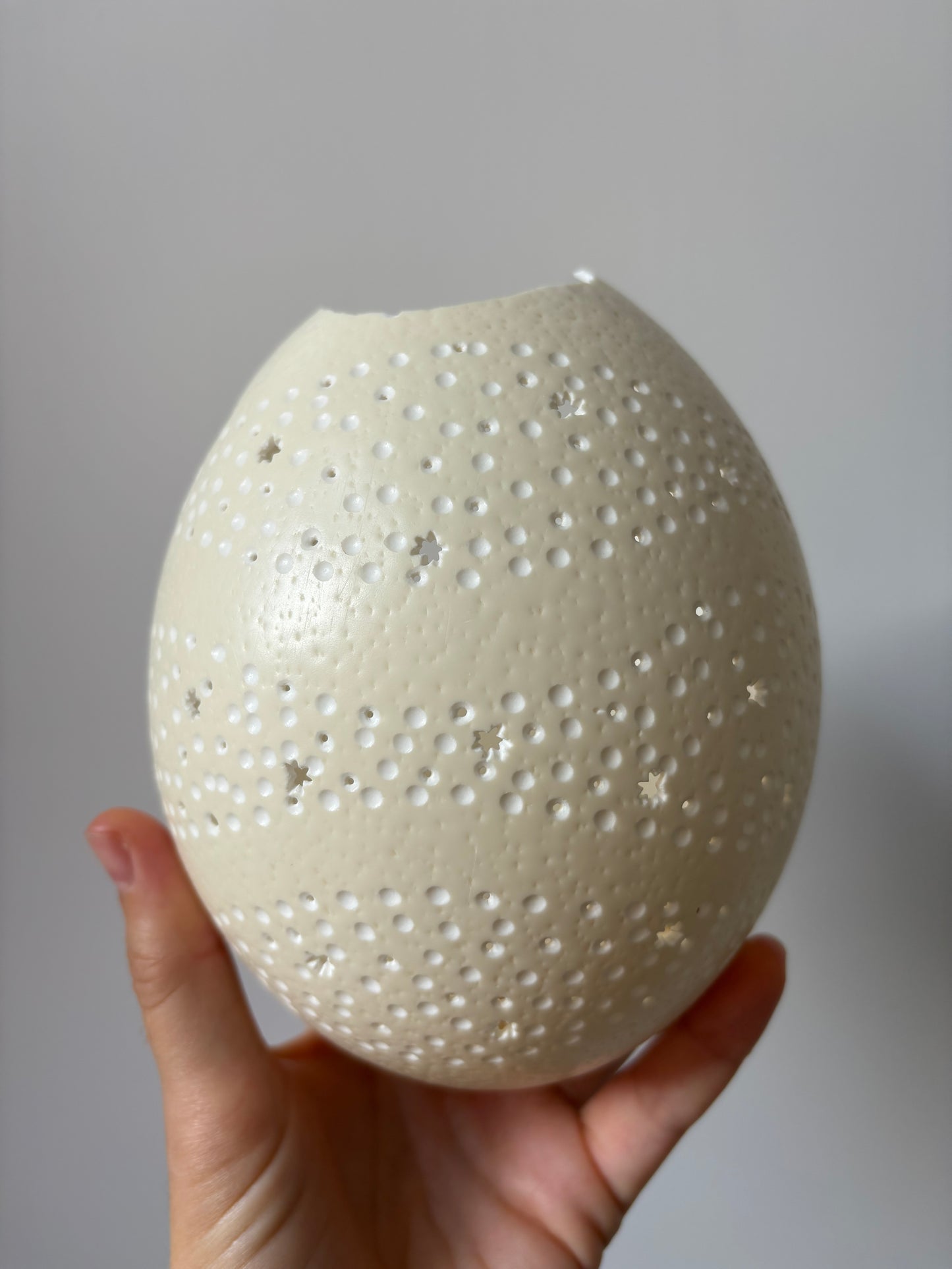 Carved custom ostrich egg for Melissa