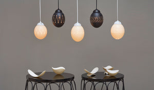 Natural ostrich eggshell pendant light