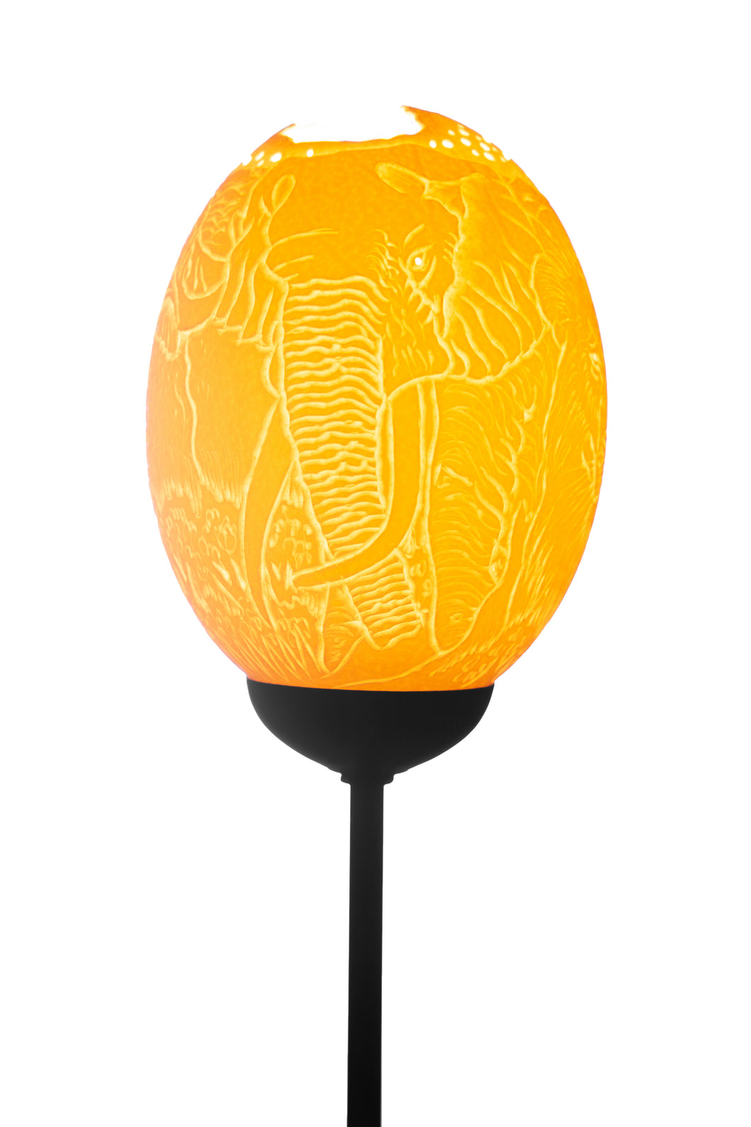 Big 5 & Africa themed ostrich egg lamp