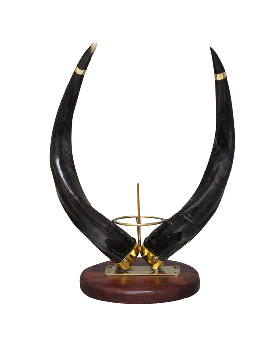 Authentic Kudu horn ostrich egg stand