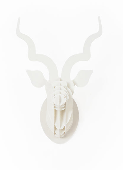 Small Kudu head in paperboard wall mount