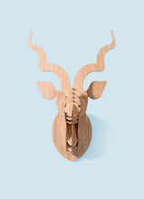 Load image into Gallery viewer, Kudu head in bamboo wall mount
