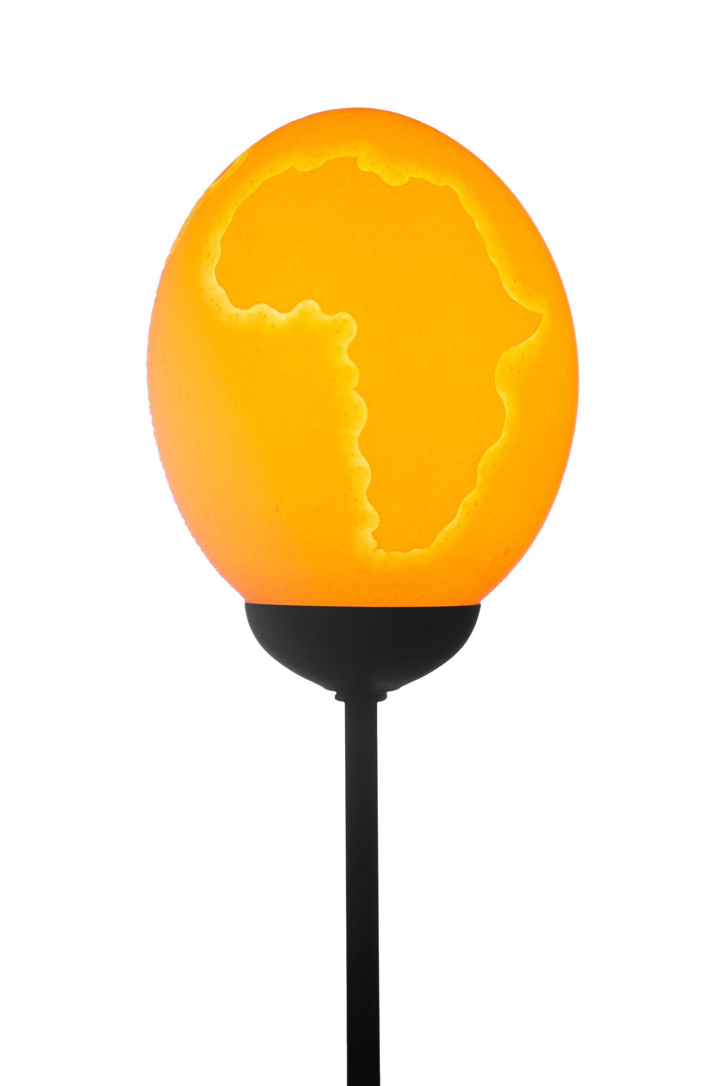Hummingbird & Africa themed ostrich egg lamp