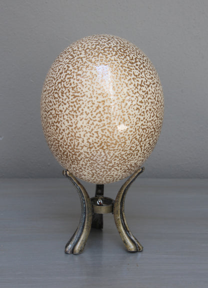 Speckled cream and gold ostrich egg