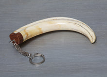 Load image into Gallery viewer, Warthog tusk keychain