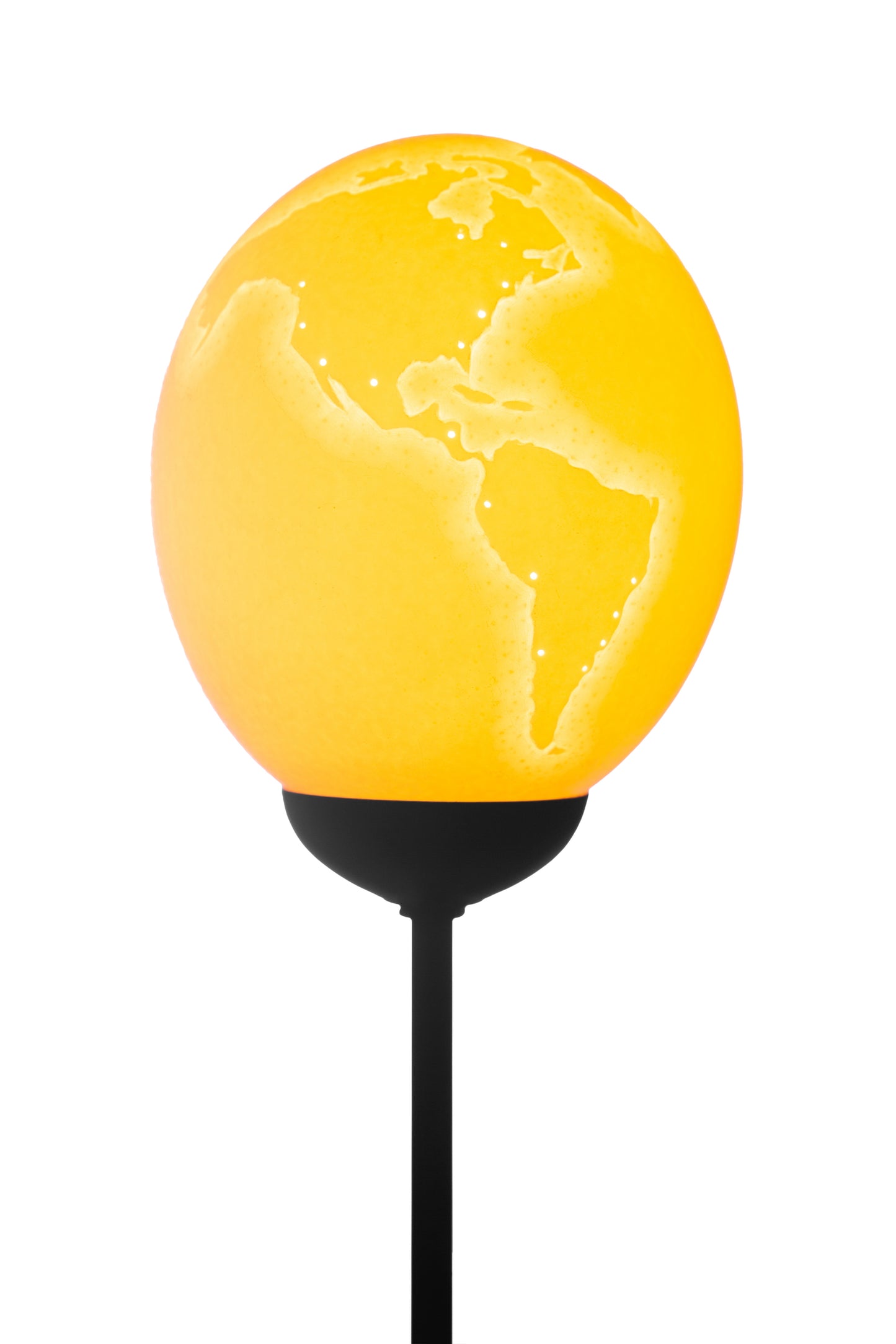 World map themed osrich egg lamp