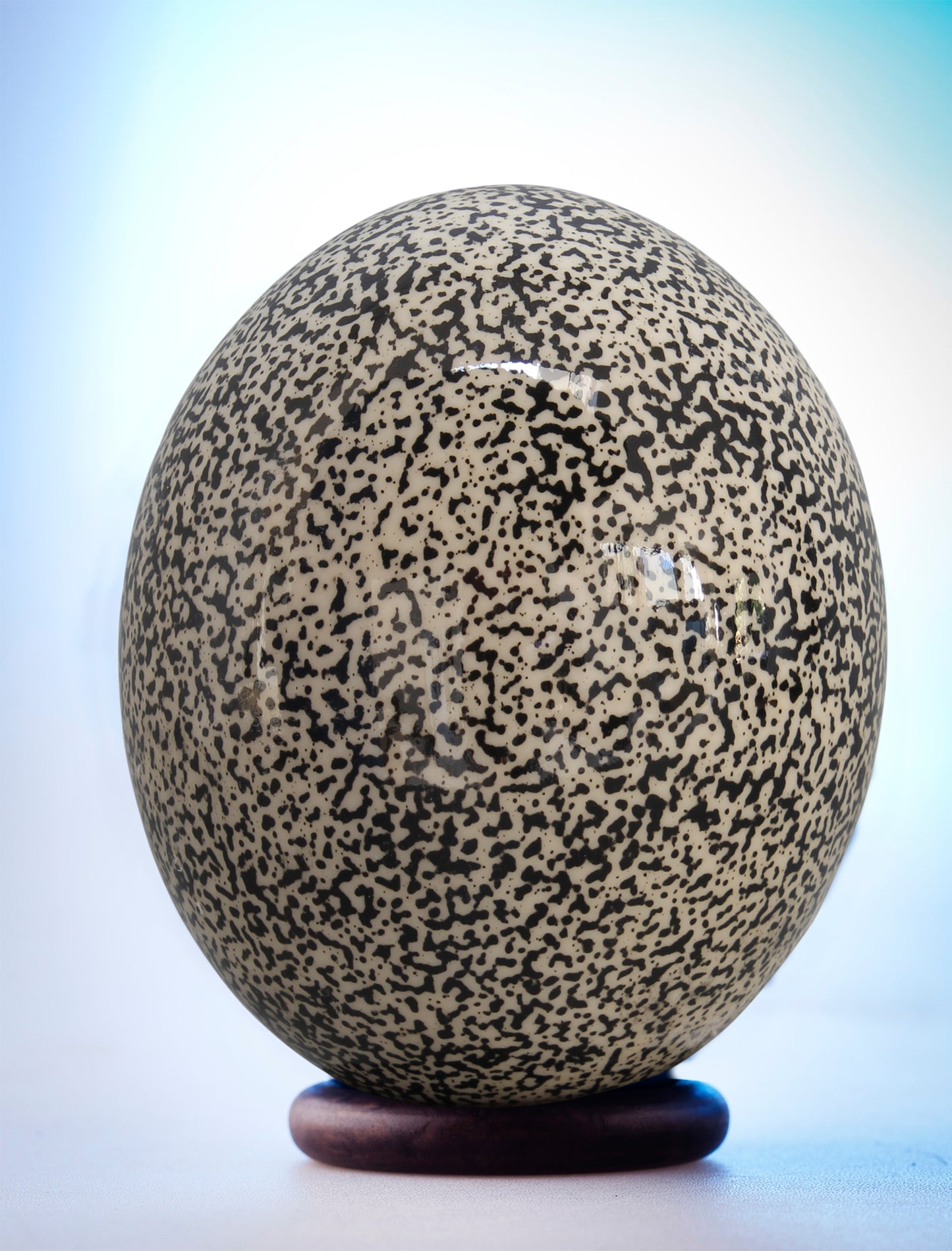 Speckled cream and black ostrich egg