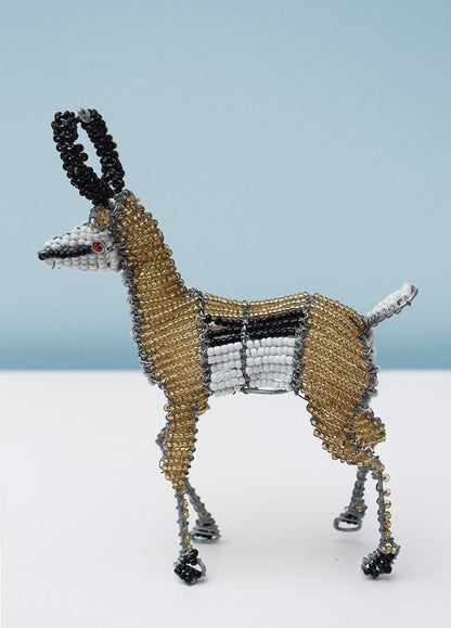 Beaded springbok