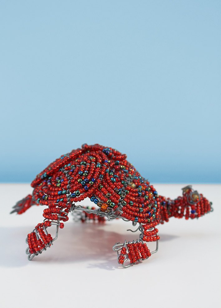 Red beaded African tortoise