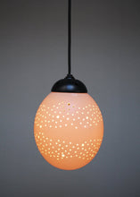 Load image into Gallery viewer, Milkway themed ostrich egg pendant light