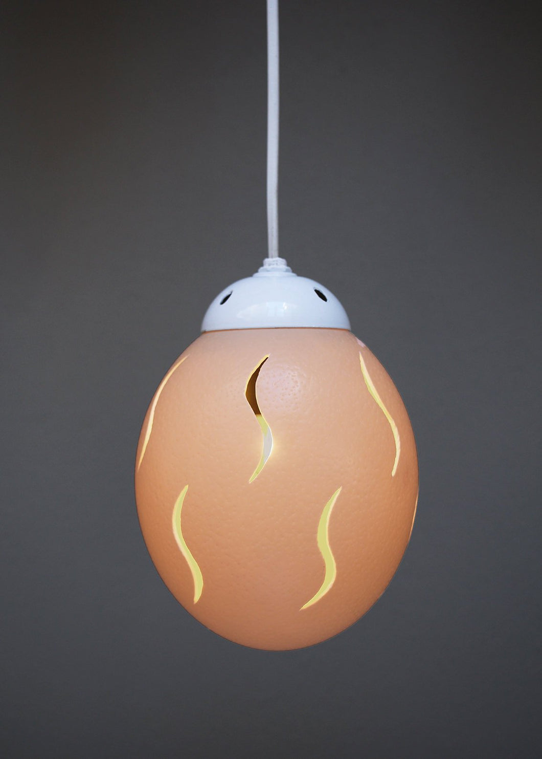 Slit themed ostrich egg pendant