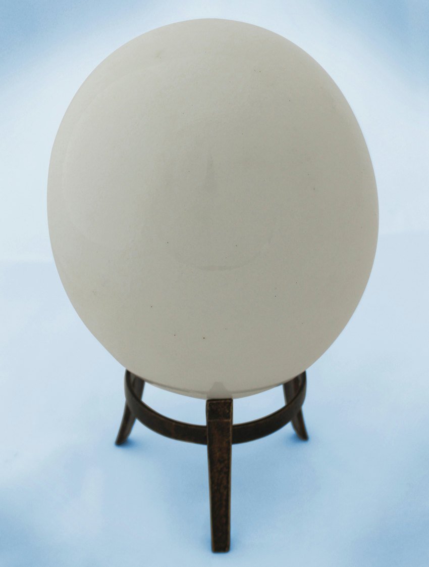 Cream-glazed ostrich egg