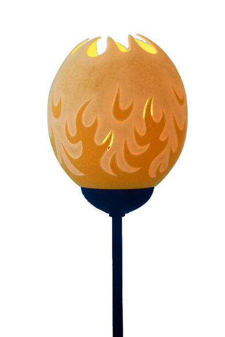 Flame ostrich egg Lamp