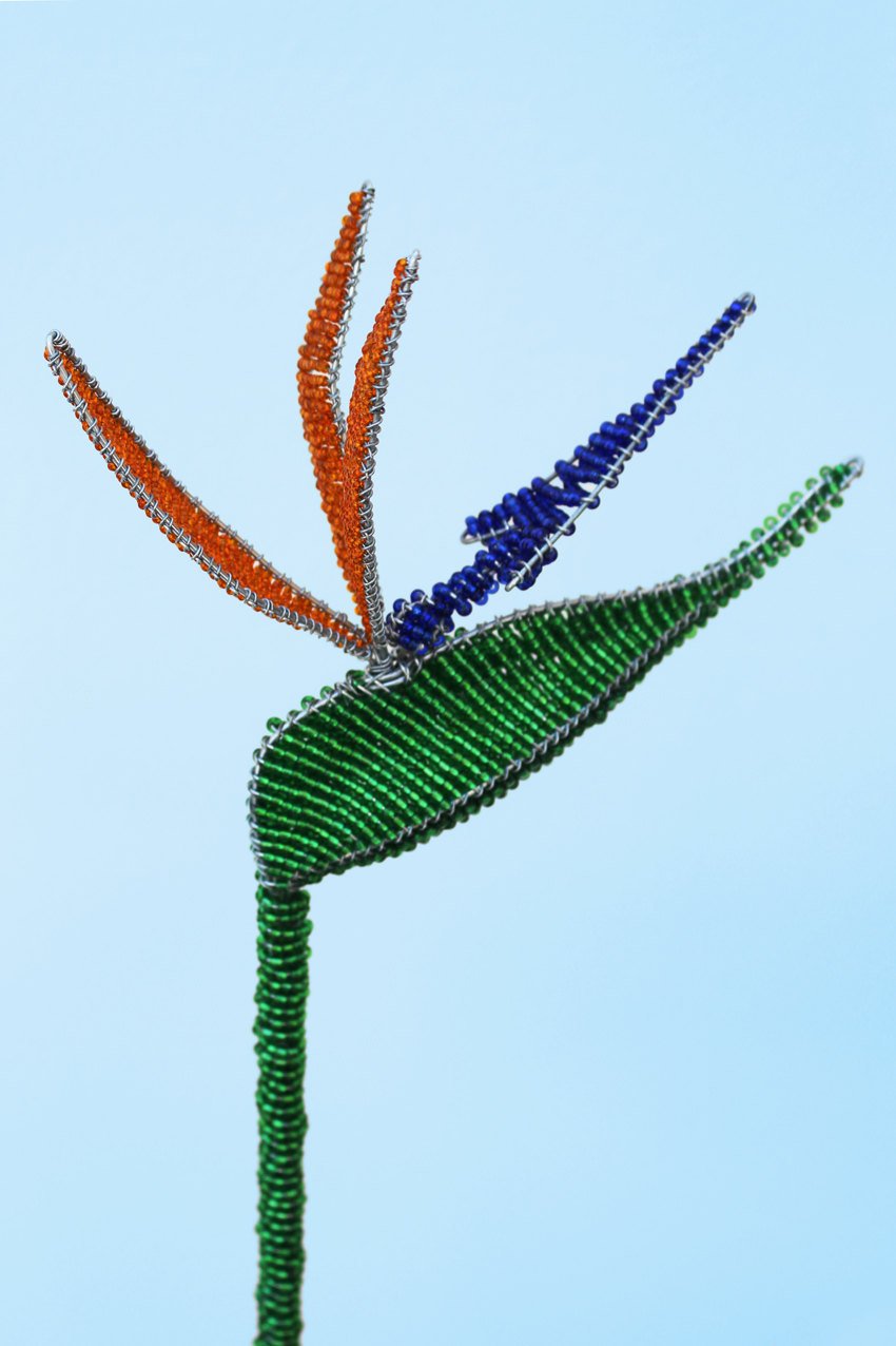 Beaded strelitzia