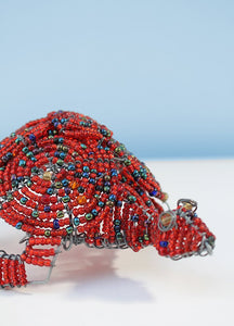 Red beaded African tortoise